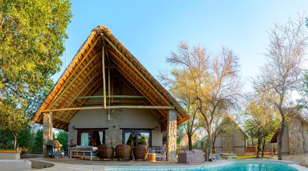 Leopard'S Lair Bush Lodge Hoedspruit Kültér fotó